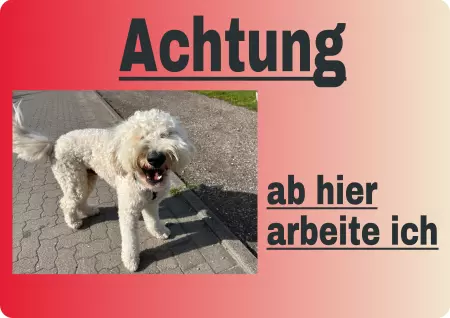 Hunde Ab hier arbeite ich Bild