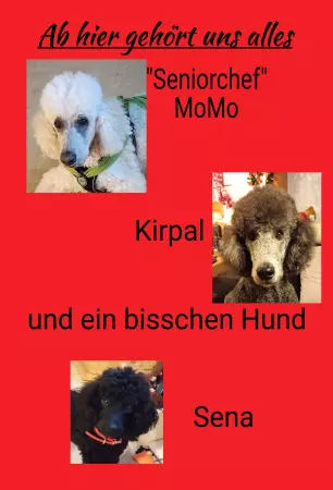 Hunde Ab hier gehört uns alles Bild