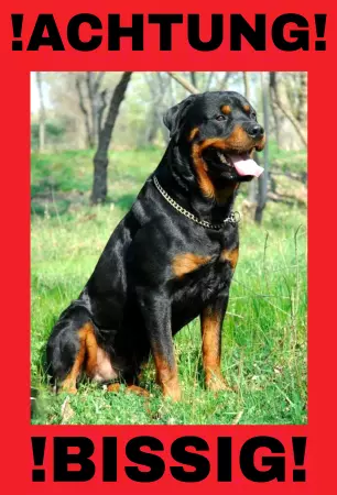 Hunde ACHTUNG BISSIG!! Bild