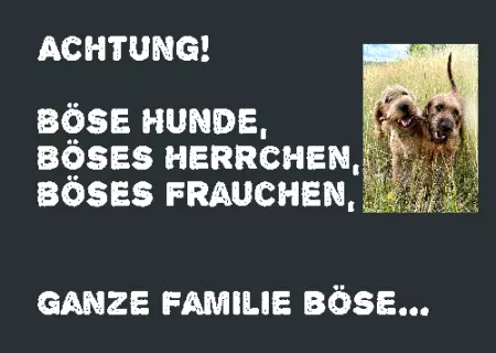 Hunde ACHTUNG! BÖSE HUNDE, BÖSES HERRCHEN, ... Bild