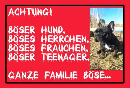 Hunde Achtung! Böser Hund, böses Herrchen... Bild