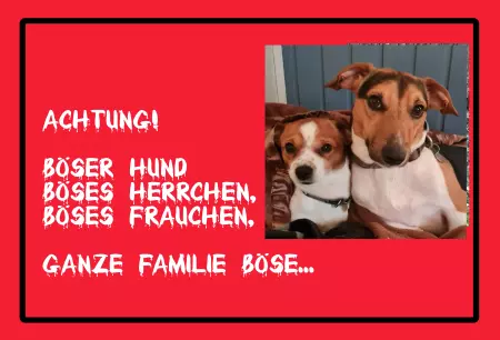 Hunde Achtung! Böser Hund, Böses Herrchen, ... Bild