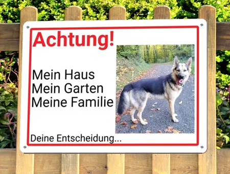 Hunde Achtung! Deine Entscheidung... Bild