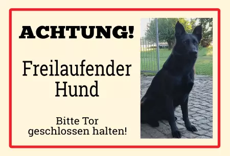 Hunde ACHTUNG - Freilaufender Hund Bild