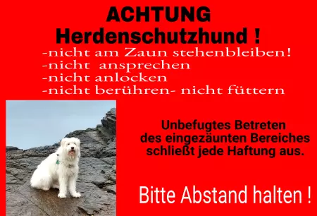  Hunde ACHTUNG Herdenschutzhund! Bild