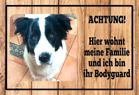 Hunde Achtung! Hier wohnt meine Familie Bild