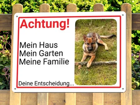 Hunde ACHTUNG - Mein Haus, deine Entscheidung Bild