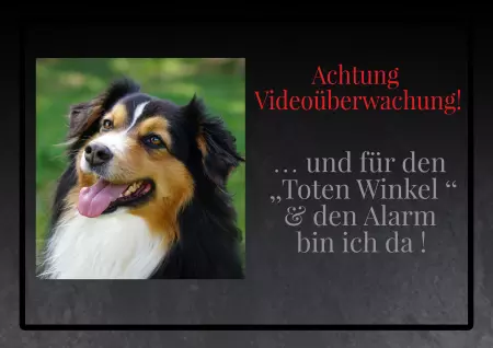 Hunde Achtung Videoüberwachung Bild