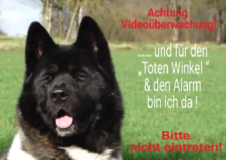 Hunde Achtung Videoüberwachung Bild