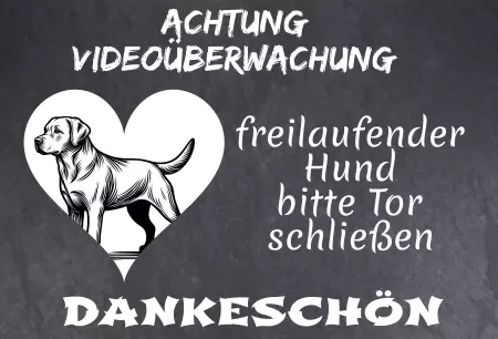 Hunde Achtung Videoüberwachung - freilaufender Hund Bild