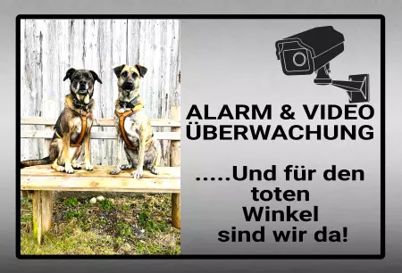 Hunde Alarm und Videoüberwachung Bild