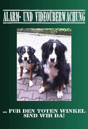 Hunde Alarm- und Videoüberwachung Bild