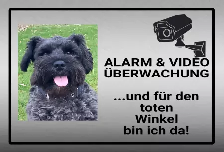 Hunde Alarm & Video Überwachung Bild