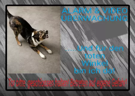  Hunde Alarm & Video Überwachung Bild