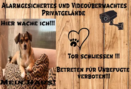 Hunde Alarmgesichert und Videoüberwacht! Bild