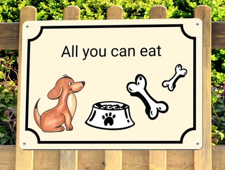 Hunde All you can eat Bild