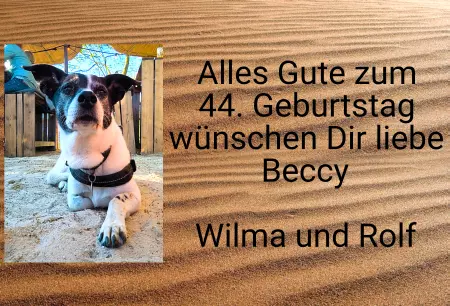 Hunde Alles Gute zum 44 Geburtstag. Bild