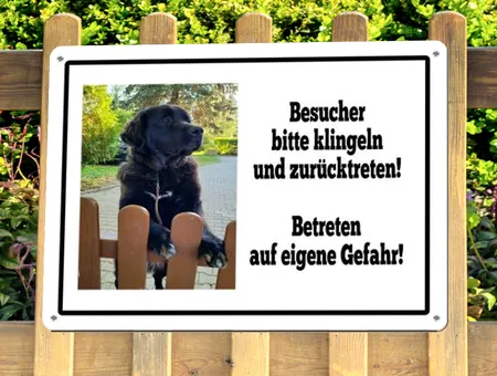 Hunde Besucher bitte klingeln! Bild