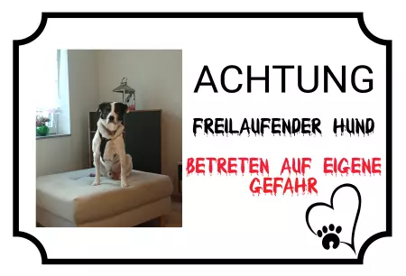 Hunde BETRETEN AUF EIGENE GEFAHR Bild