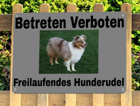  Hunde Betreten Verboten Bild