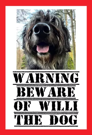 Hunde BEWARE OF WILLI Bild