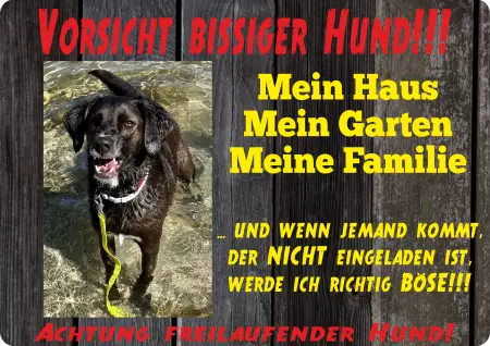 Hunde Bissiger Hund Bild