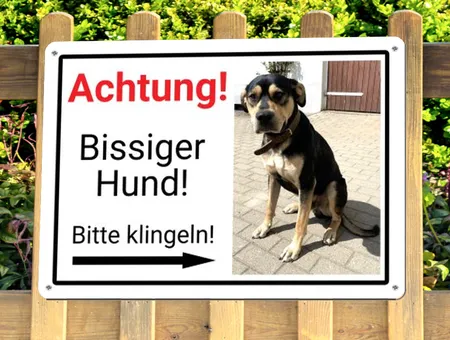 Hunde Bissiger Hund Bild