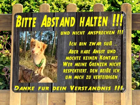 Hunde BITTE ABSTAND HALTEN !!! Bild