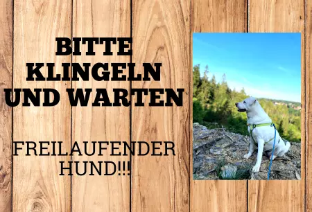Hunde Bitte klingeln und warten. Freilaufender Hund!!!! Bild