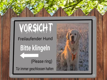 Hunde Bitte klinglen Bild