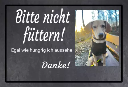 Hunde Bitte nicht füttern! Bild