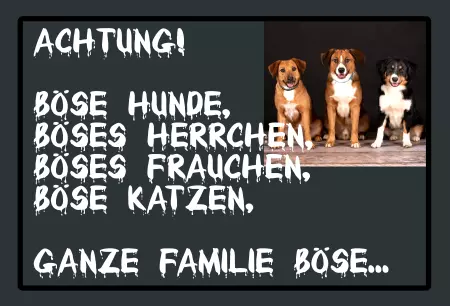 Hunde Böse Hunde, böses Herrchen Bild