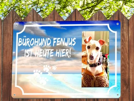 Hunde Bürohund FEN JUS Bild