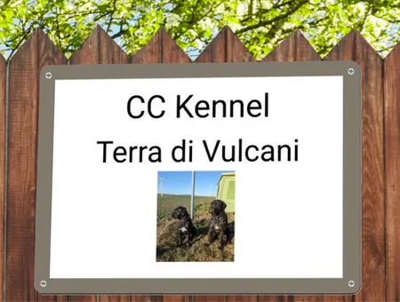 Hunde CC Kennel Bild