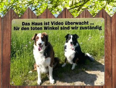 Hunde Das Haus ist Video überwacht Bild