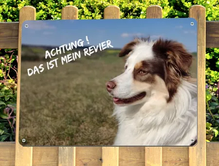 Hunde Das ist mein Revier Bild