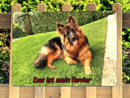 Hunde Das ist mein Revier Bild