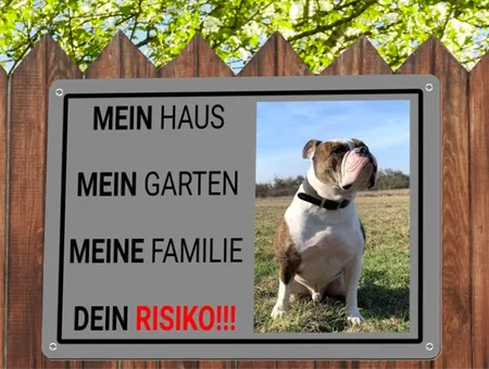 Hunde DEIN RISIKO!!! Bild