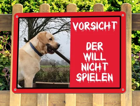 Hunde Der will nicht spielen Bild