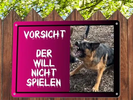 Hunde Der will nicht spielen Bild