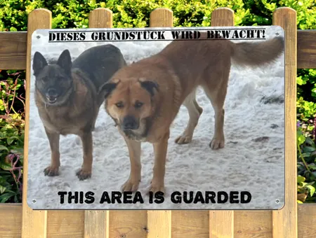 Hunde Dieses Grundstück wird bewacht Bild