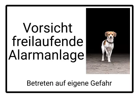Hunde Freilaufende Alarmanlage Bild