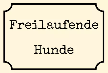 Hunde Freilaufende Hunde Bild