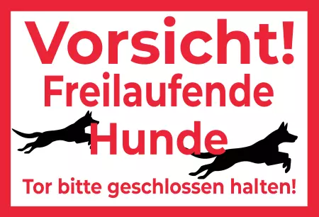 Hunde Freilaufende Hunde Bild