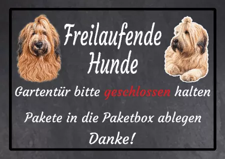 Hunde Freilaufende Hunde Bild