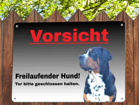 Hunde Freilaufender Hund! Bild