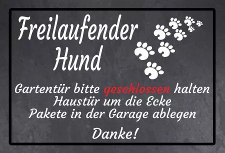 Hunde Freilaufender Hund Bild