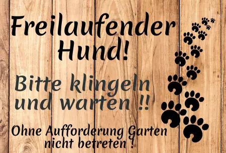 Hunde Freilaufender Hund! Bild
