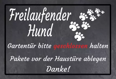 Hunde Freilaufender Hund Bild