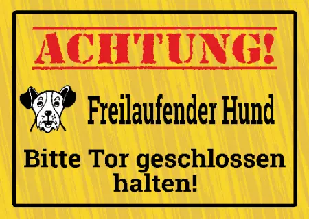 Hunde Freilaufender Hund Bild
